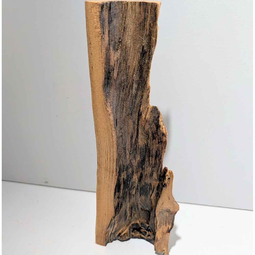 Wild Grape Hollow Vine Fairy garden or Gemstone Display. 9" x 2.5".